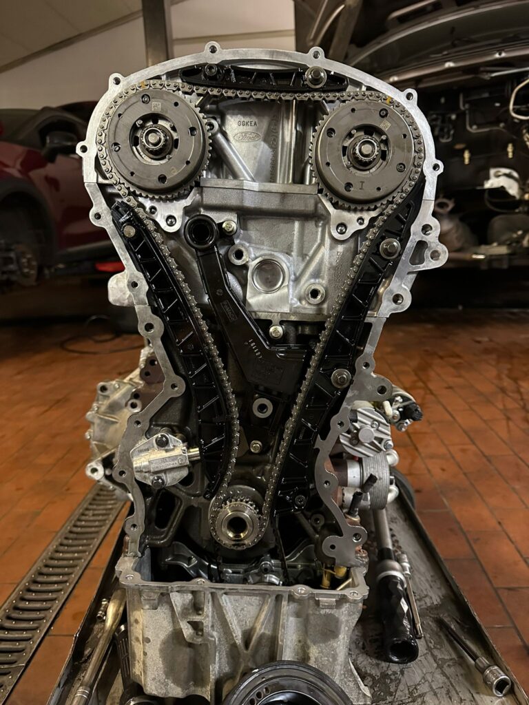 Steuerkette mit Kettenspanner eines Ford-Motors